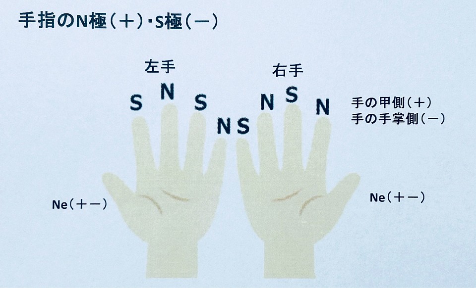 ポラリティーセラピー手指のN極（＋）・S極（−）